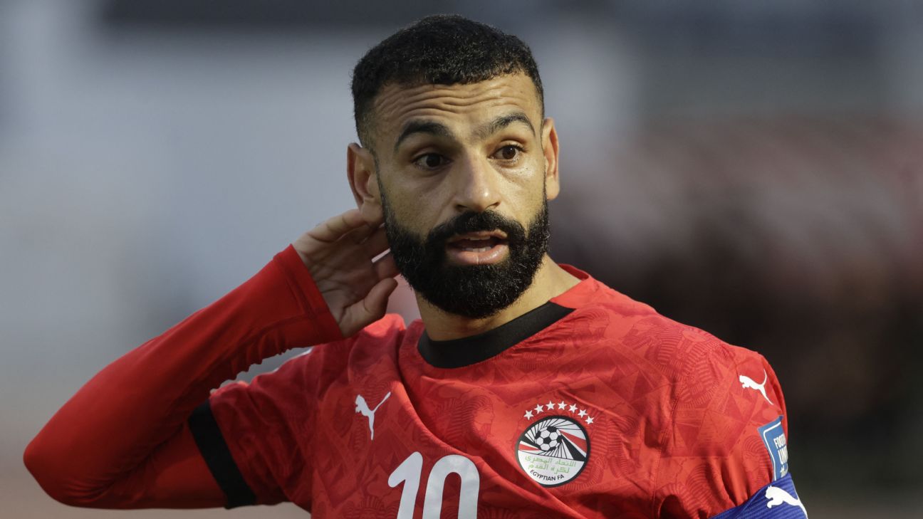 FIFA要求埃及世界杯球衣去掉7颗星 号码也改白色